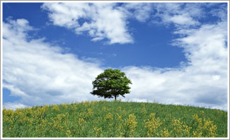 [29]http://www.tta-gep.jp/corp/kitada-unso/files/2012/07/busiImg021.jpg